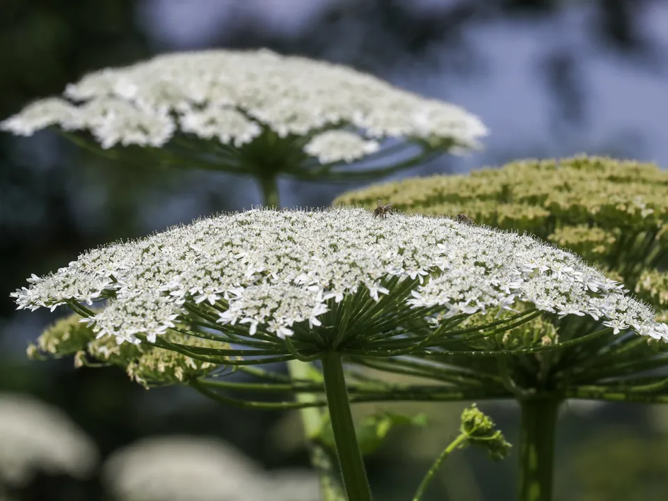 Фото: ТАСС/Сергей Савостьянов