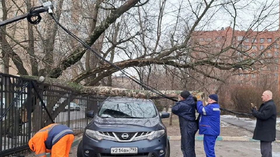 Фото: администрация городского округа Люберцы