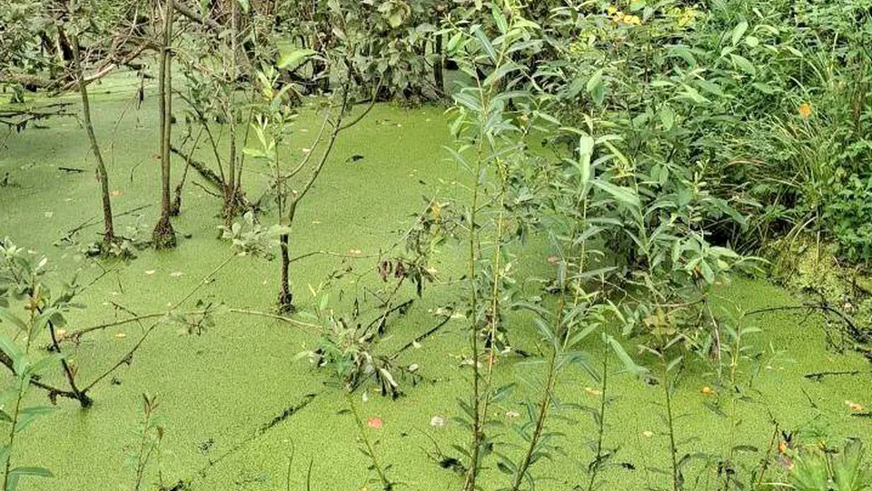 Фото: архив Виктории Белинской