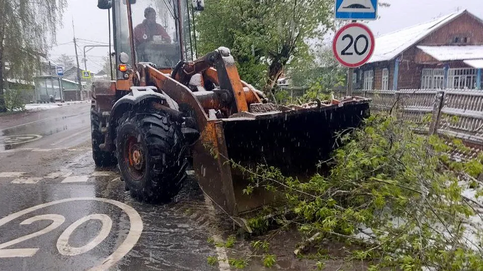 Фото: Богородский медиацентр