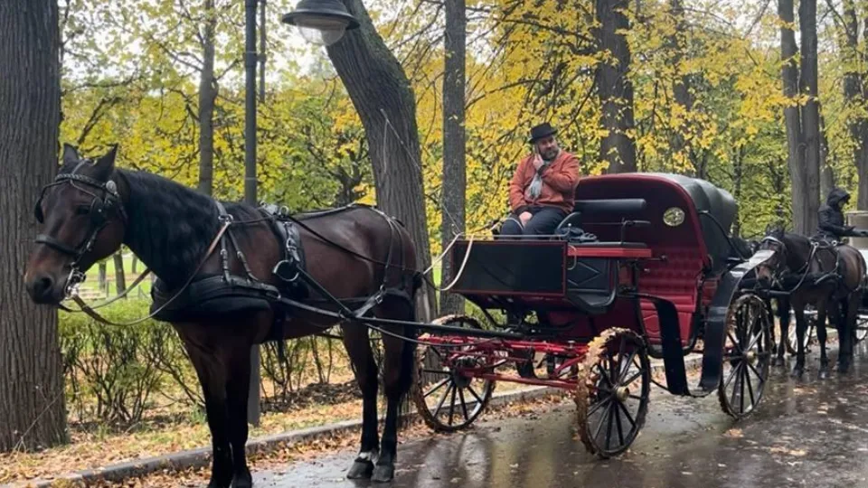 Фото: REGIONS/Кристина Ларина