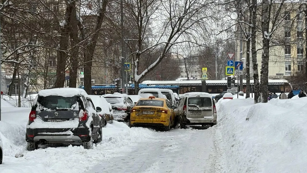 REGIONS/Полина Крачун