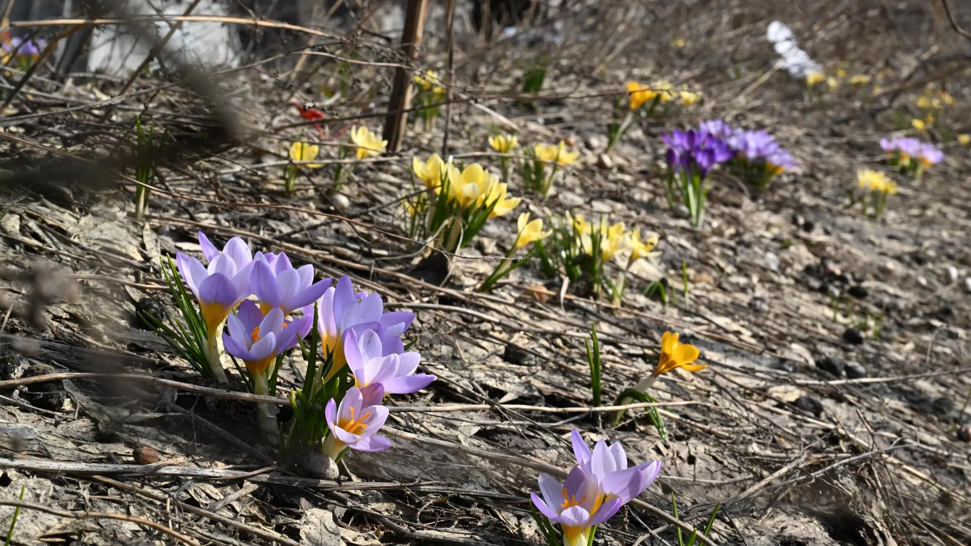 Komsomolskaya Pravda/Global Look Press