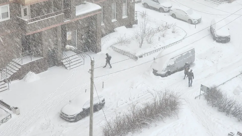 Фото: МедиаБанк Подмосковья/Ксения Казакова