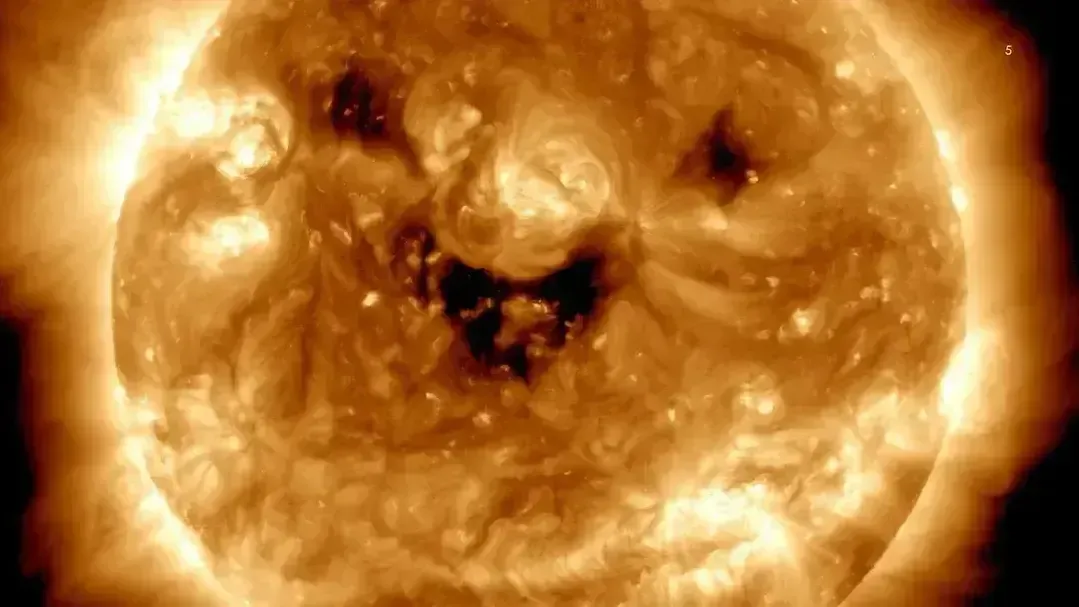 commons.wikimedia/Amy Moran