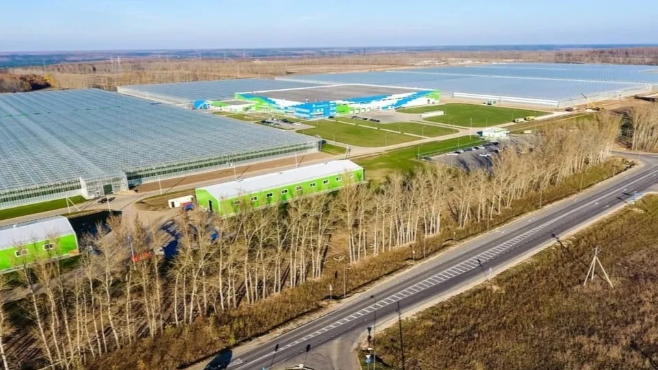 Фото: пресс-служба администрации г.о. Кашира