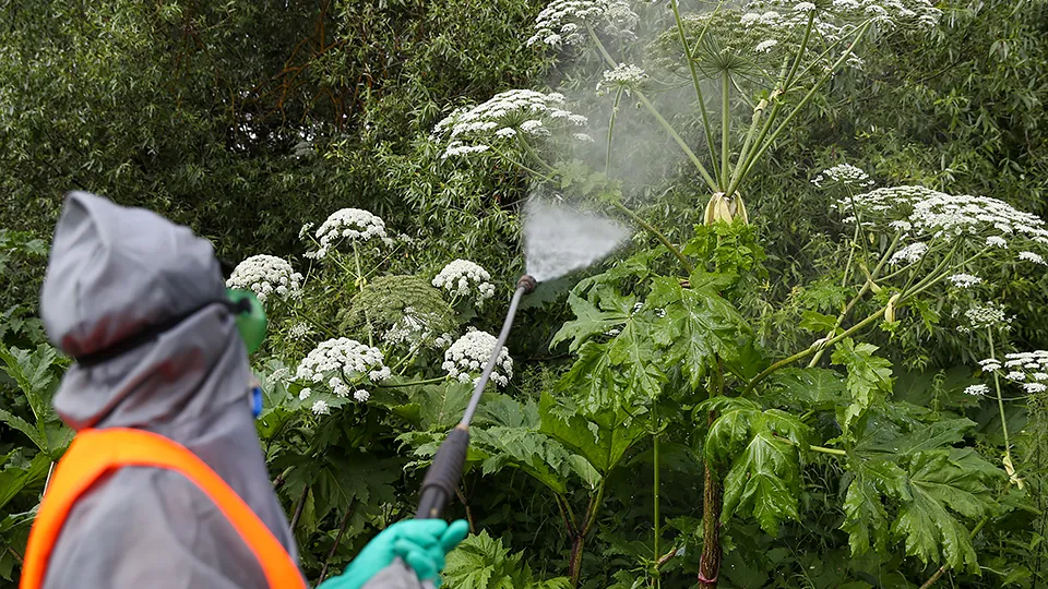 Фото: ТАСС/Сергей Савостьянов