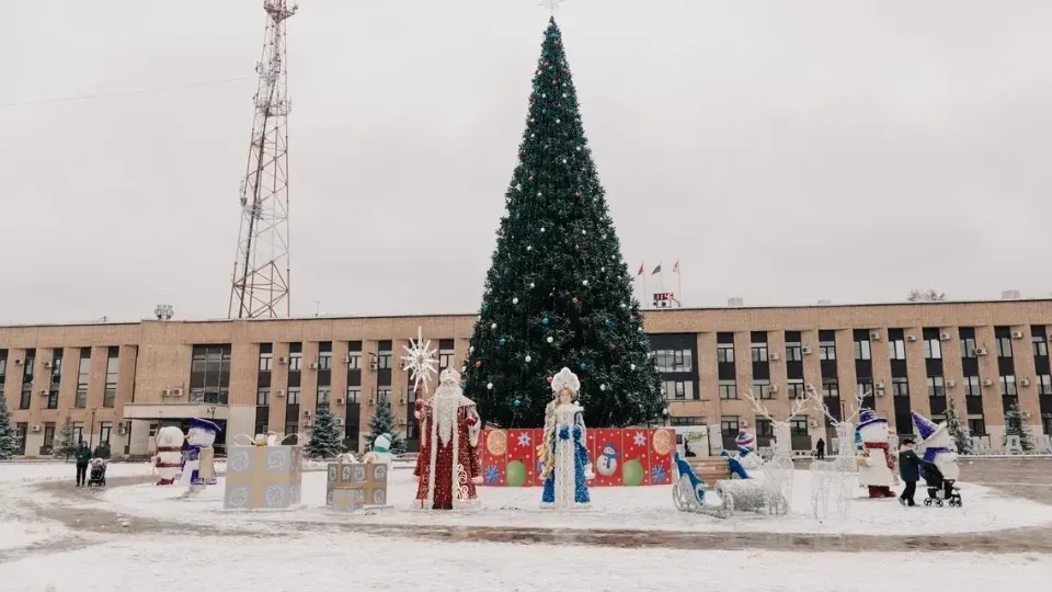 Фото: пресс-служба администрации г.о. Домодедово