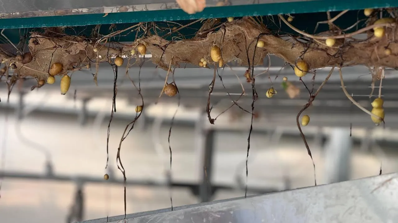 Фото: Министерство сельского хозяйства и продовольствия Московской области