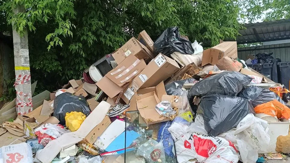 Фото: соцсети