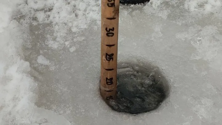 ГКУ МО "Мособлпожспас"