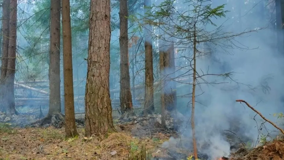 Фото: unsplash.com