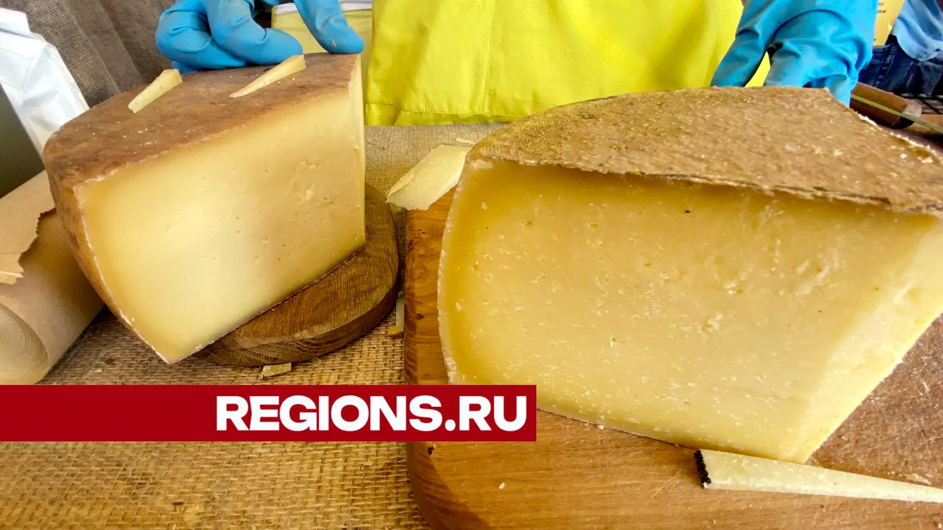 фото: Светлана Борщева