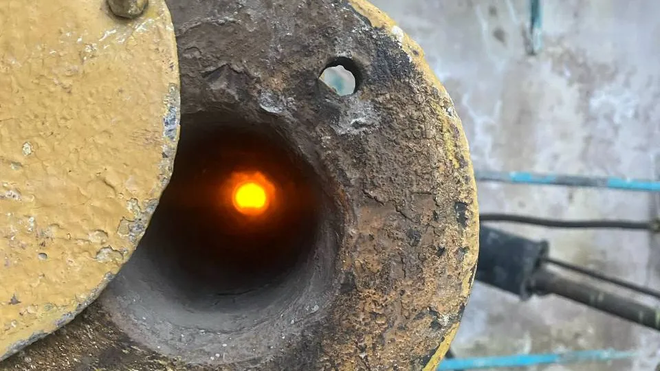 Фото: администрация м. о. Чехов