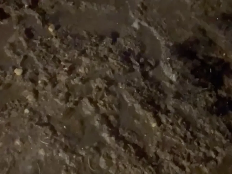 Фото: t.me/khimki_live