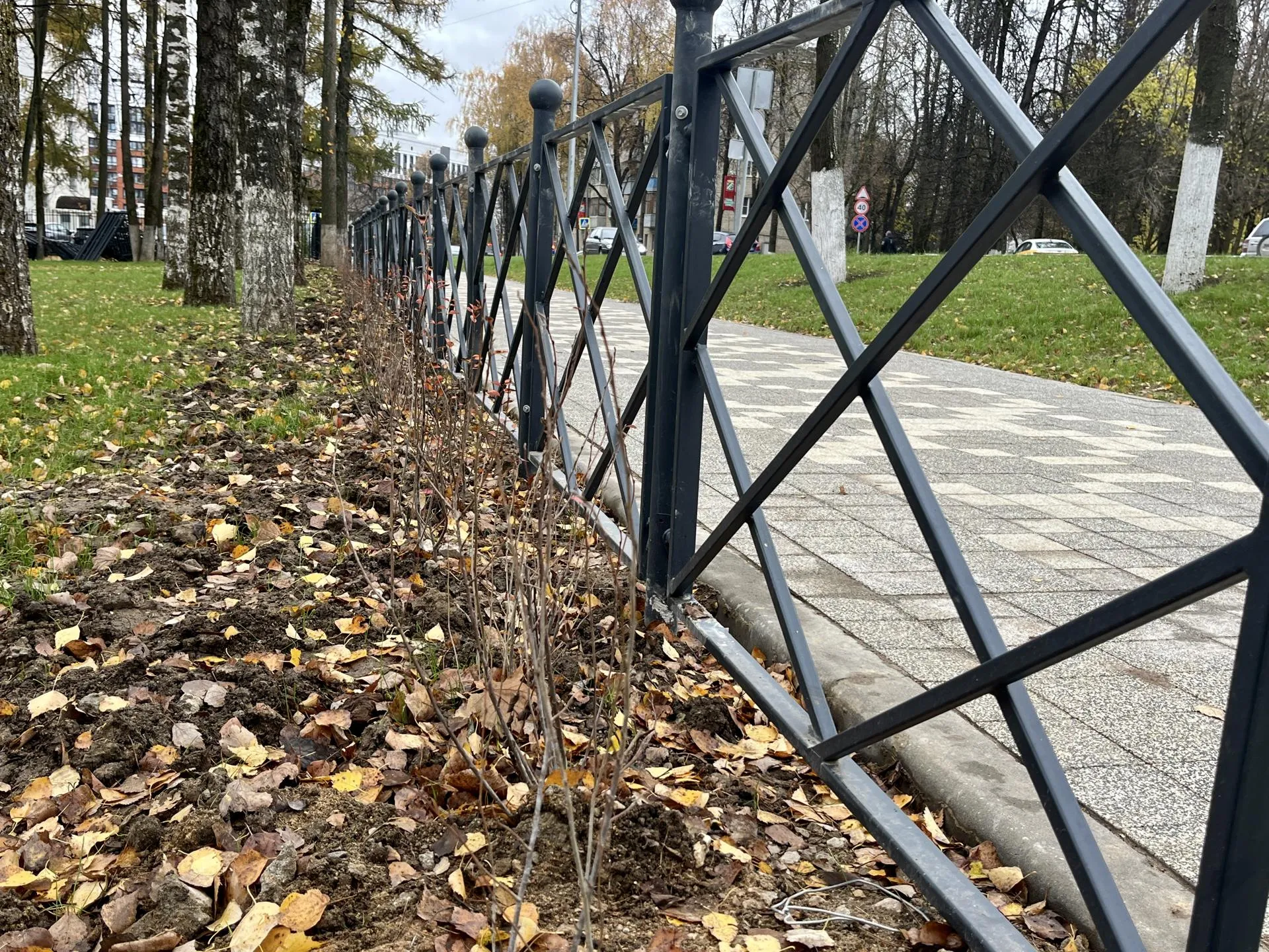 Фото: Анна Тюрюмина&nbsp; &nbsp; &nbsp; &nbsp; &nbsp;