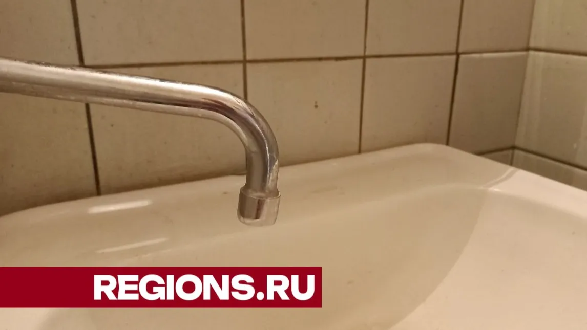 Фото: Олег Книжник