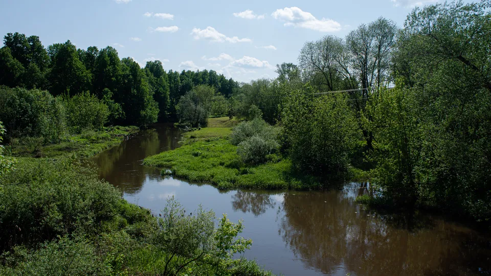 Фото: медиасток.рф