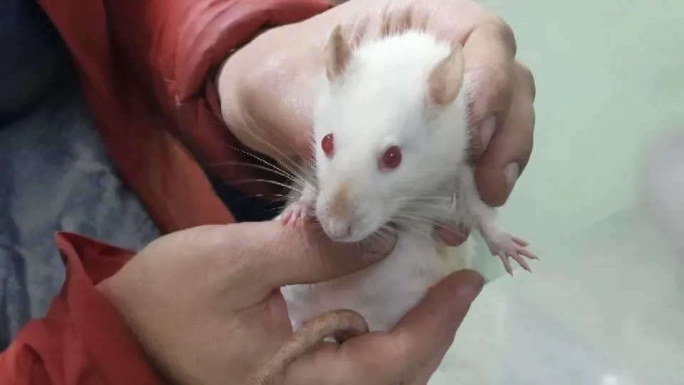 Фото: Министерство сельского хозяйства и продовольствия Московской области