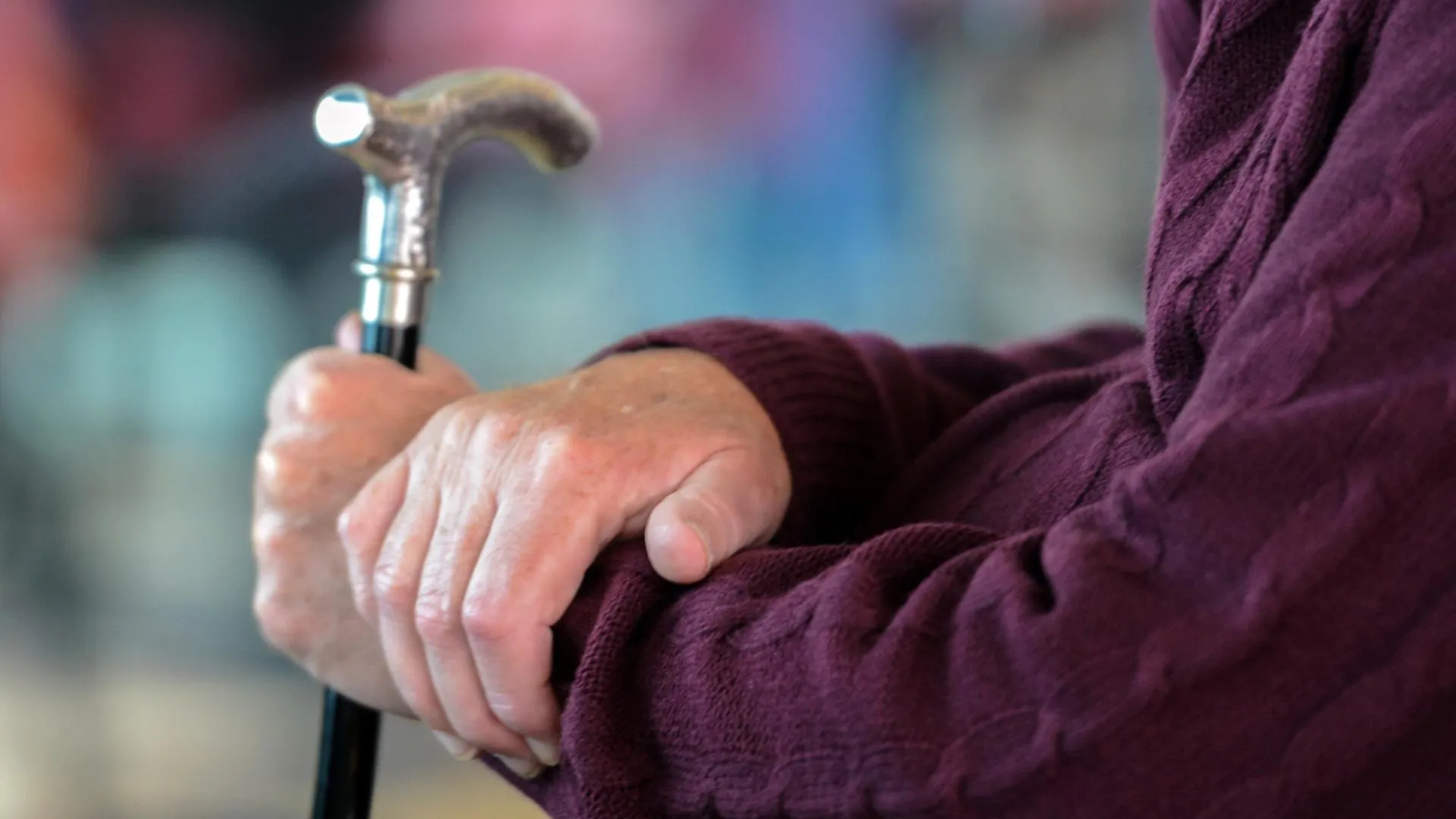 Winfried Rothermel/picture alliance