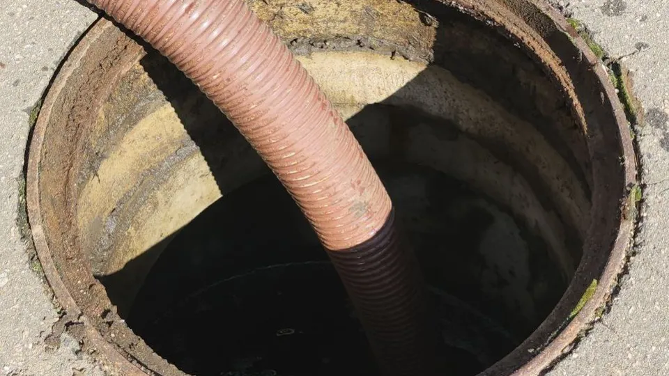 Фото: МедиаБанк Подмосковья/Наталья Лымарь