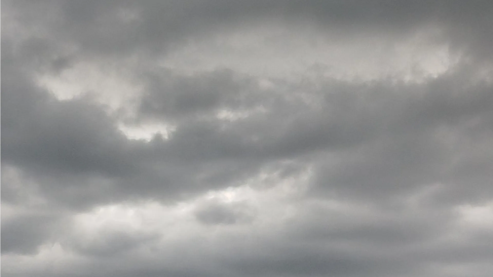 Фото: Юлия Куделькина