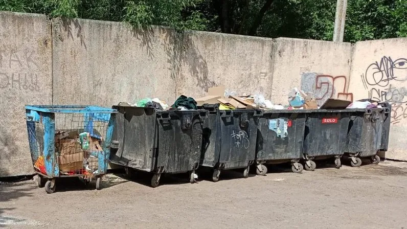 Фото: пресс-служба администрации Можайского городского округа