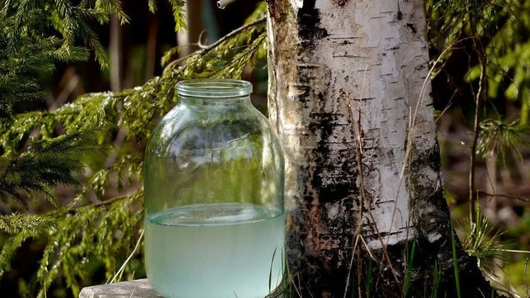 Комитет лесного хозяйства Московской области