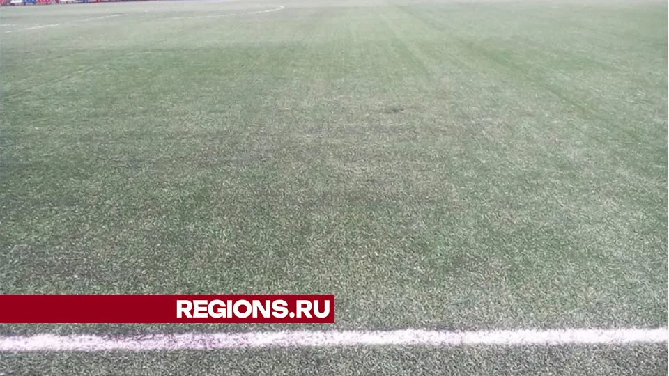 Фото: Администрация городского округа Лотошино