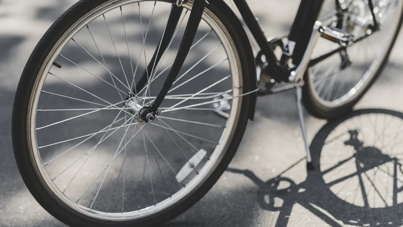 Фото: freepik.com