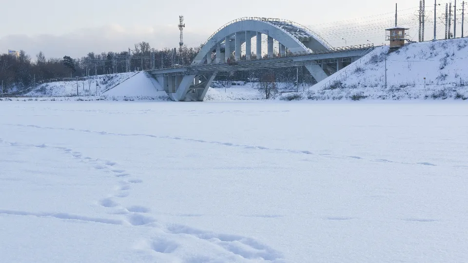 Фото: медиасток.рф