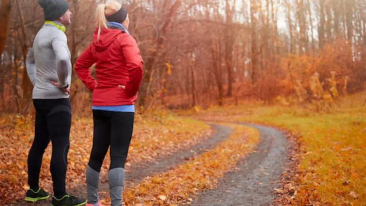 Фото: freepik.com