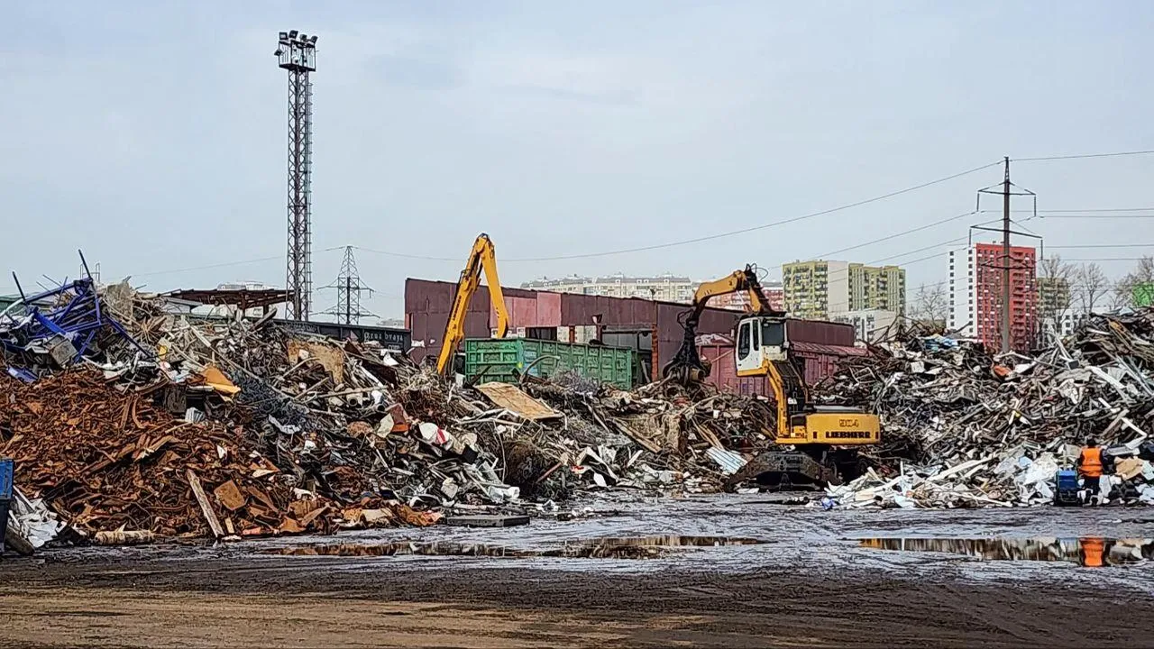 Фото: Наталья Лымарь