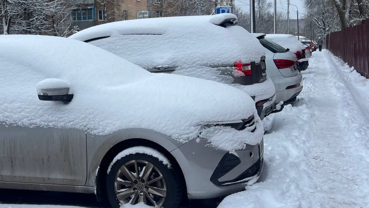 Фото: REGIONS/Татьяна Кордюкова