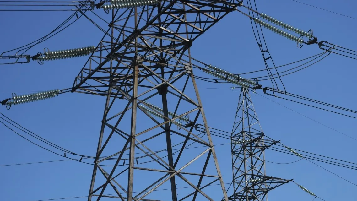 Фото: РИА Новости/Павел Лисицын