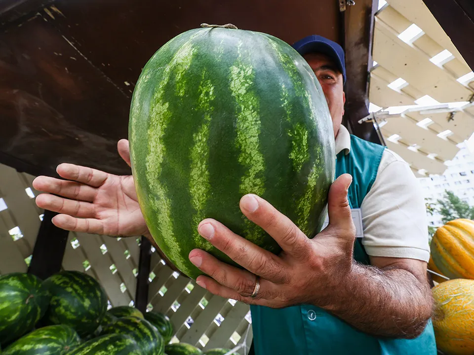 &nbsp; Фото: ТАСС/Александр Щербак