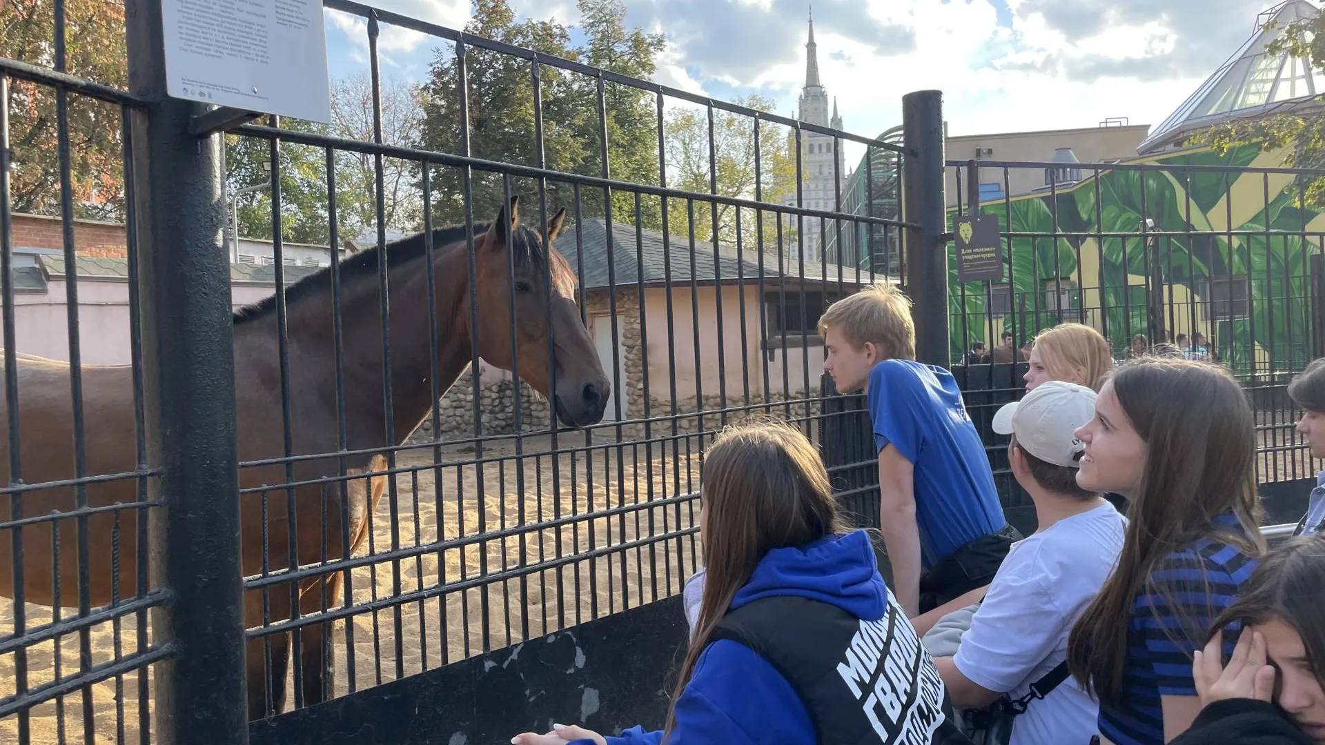 Фото: «Молодая Гвардия» г. о. Зарайск
