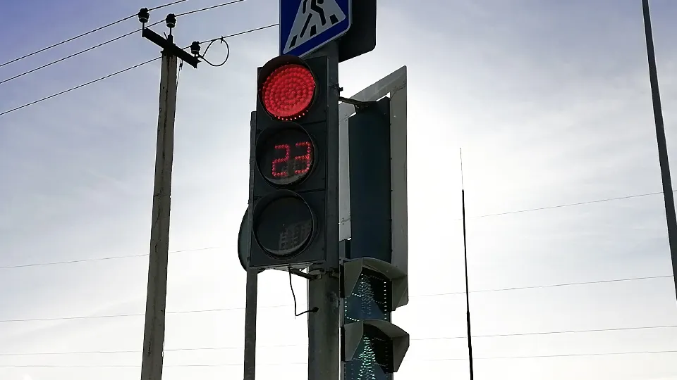 Фото: МедиаБанк Подмосковья/Юлия Смагринская