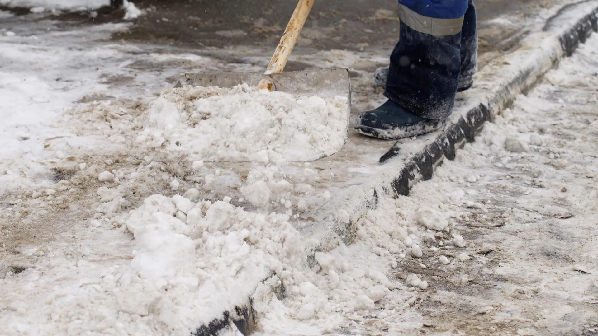 Министерство транспорта и дорожной инфраструктуры Московской области