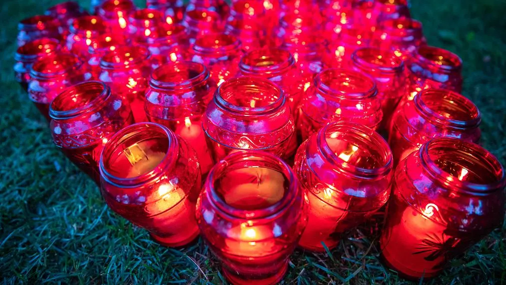 Фото: Администрация г.о. Одинцово