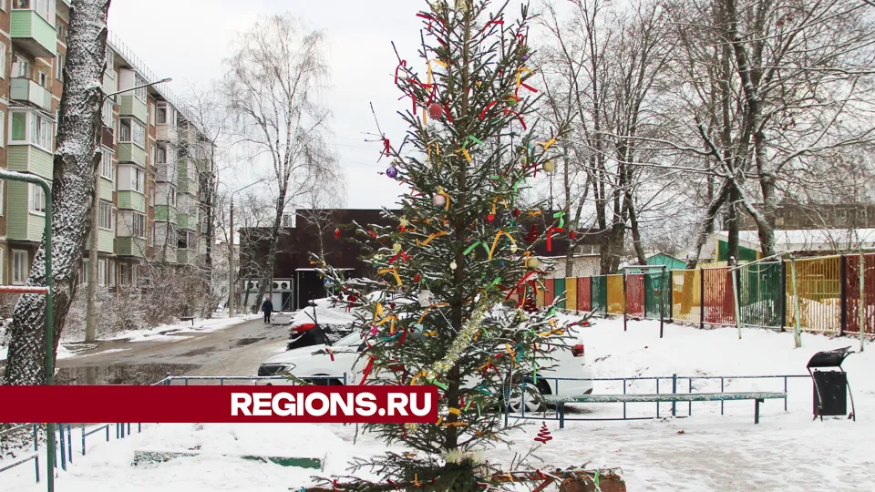 Фото: REGIONS/Василий Тремасов