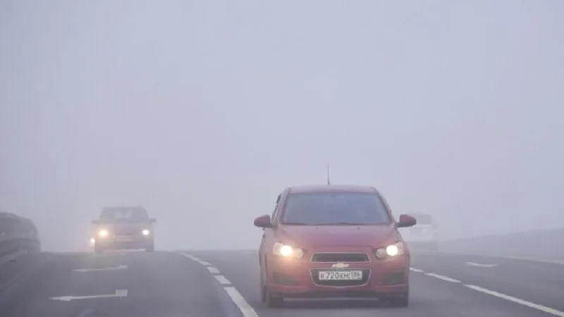 Госавтоинспекция Подмосковья предупредила водителей о снижении видимости из-за тумана