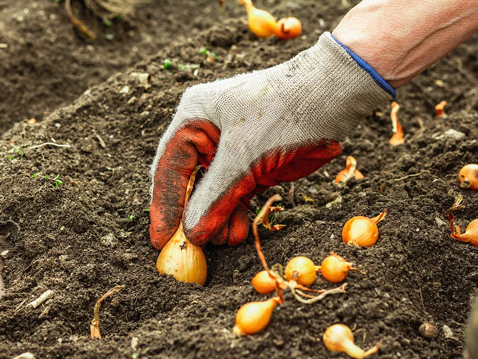 Фото: istockphoto.com