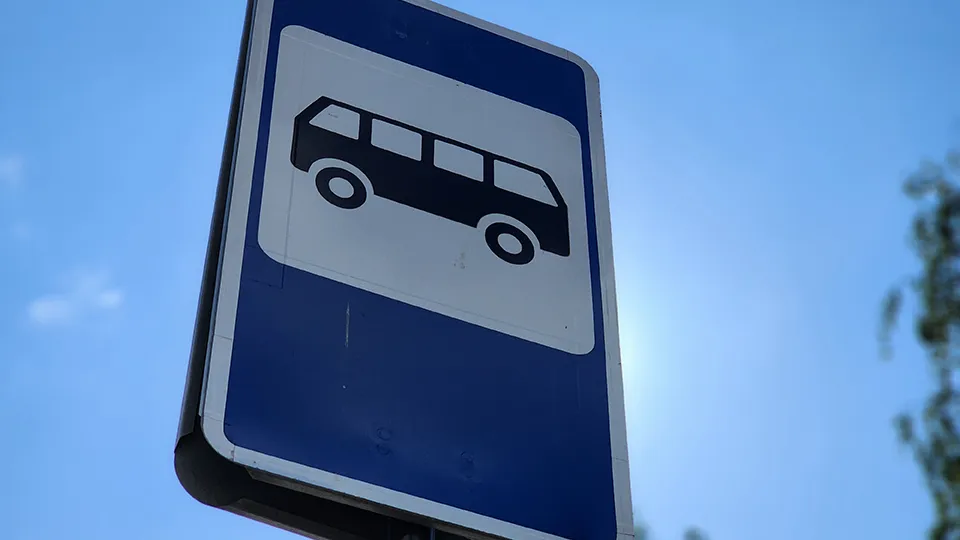 Фото: МедиаБанк Подмосковья/Светлана Плотникова