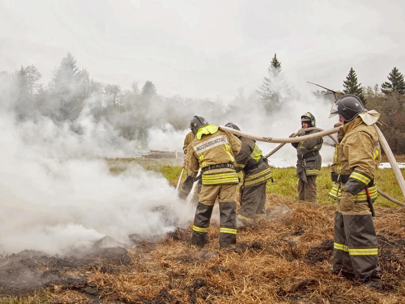 Фото: пресс-служба администрации г.о. Ступино<br>