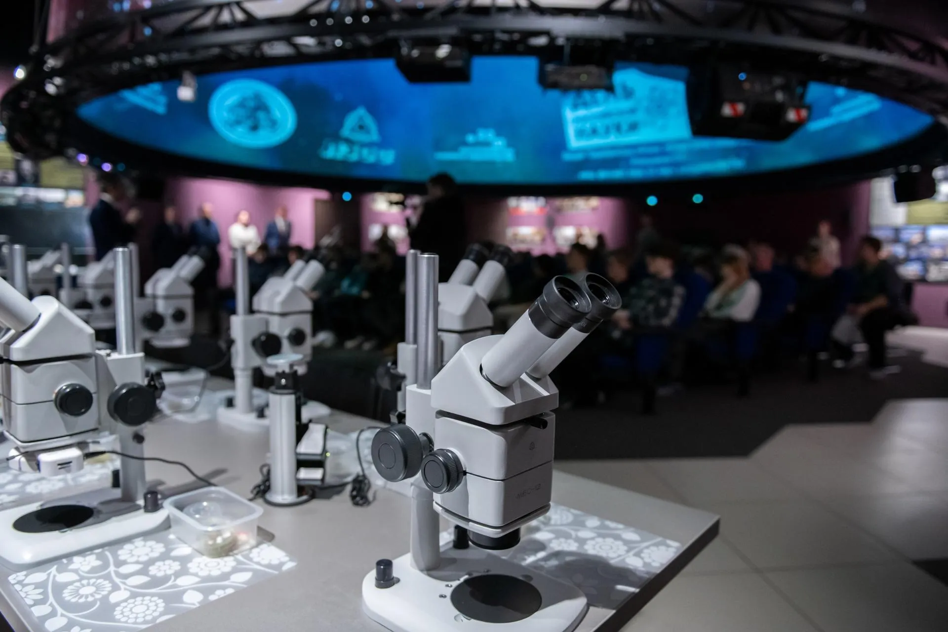 Фото: Анастасия Харченко