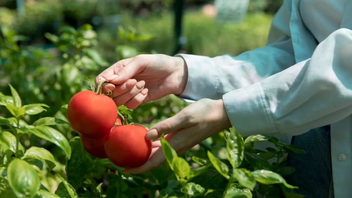 Фото: freepik.com