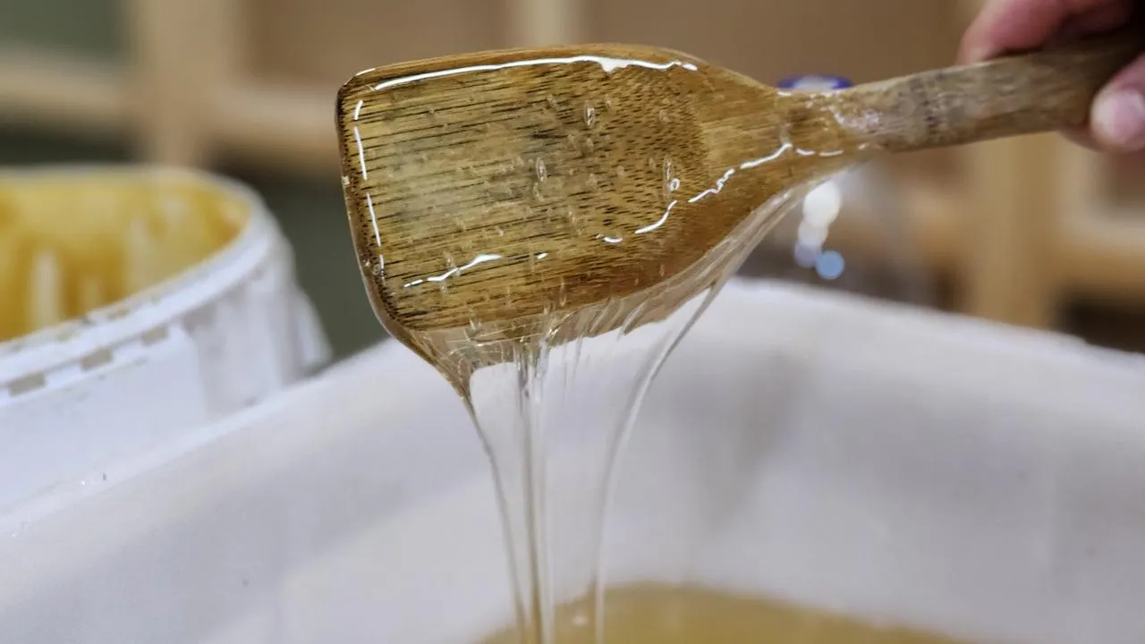 МедиаБанк Подмосковья/Ксения Пашуто