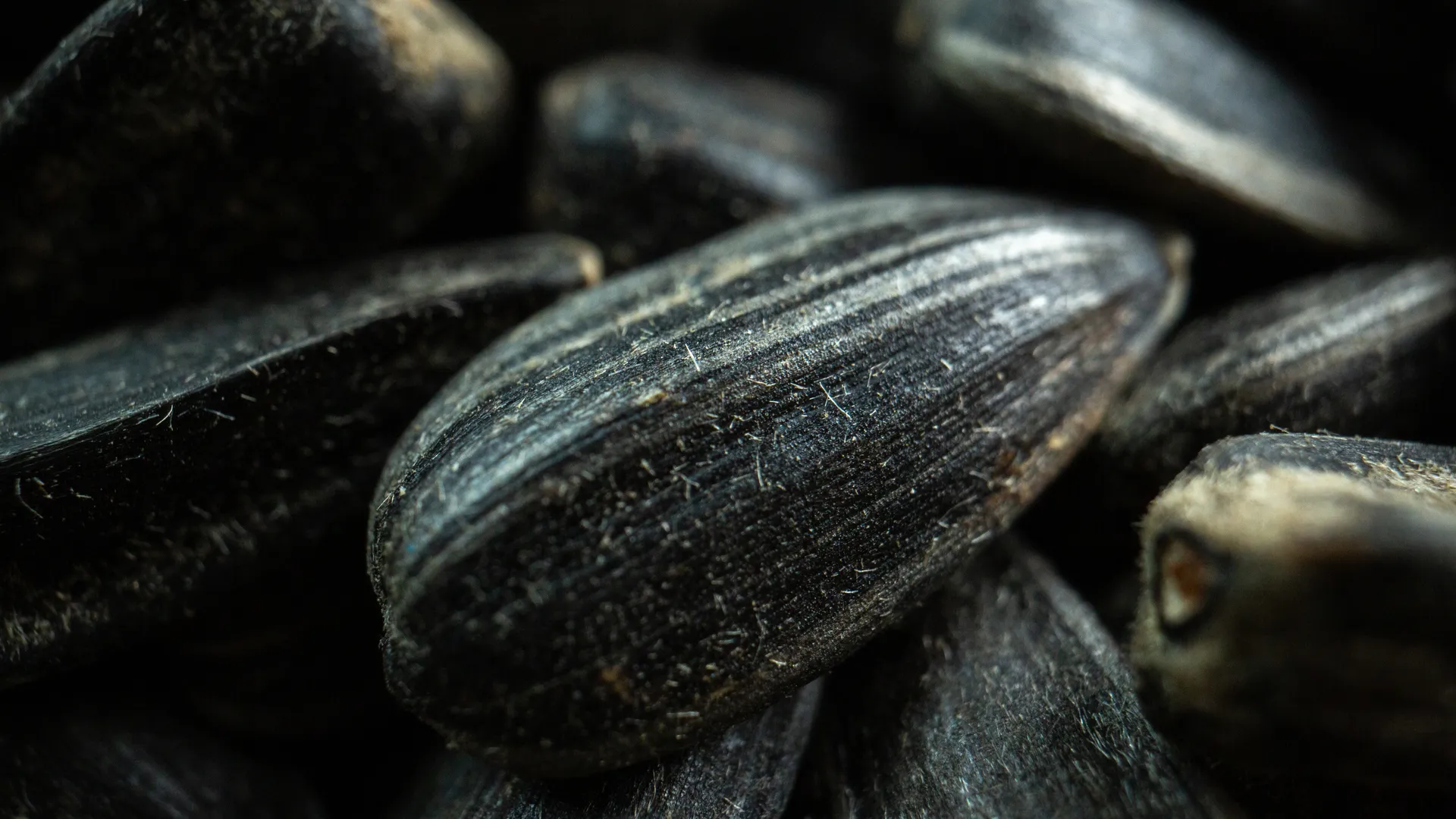 Фото: ru.freepik.com