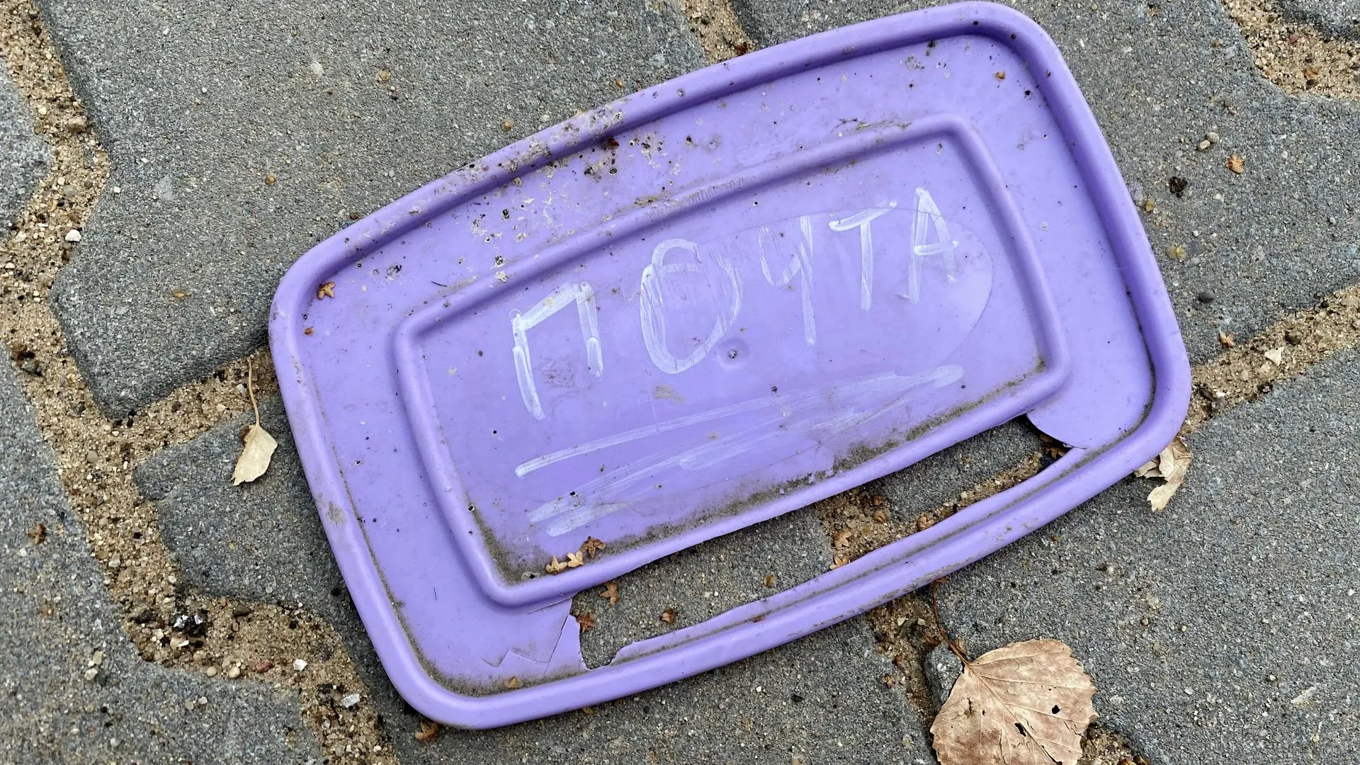 REGIONS/Александр Легкий